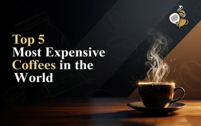Top 5 Most Expensive Coffees in the World in 2025