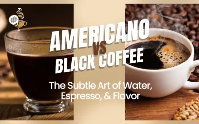 Americano vs Black Coffee: The Subtle Art of Water, Espresso, and Flavor