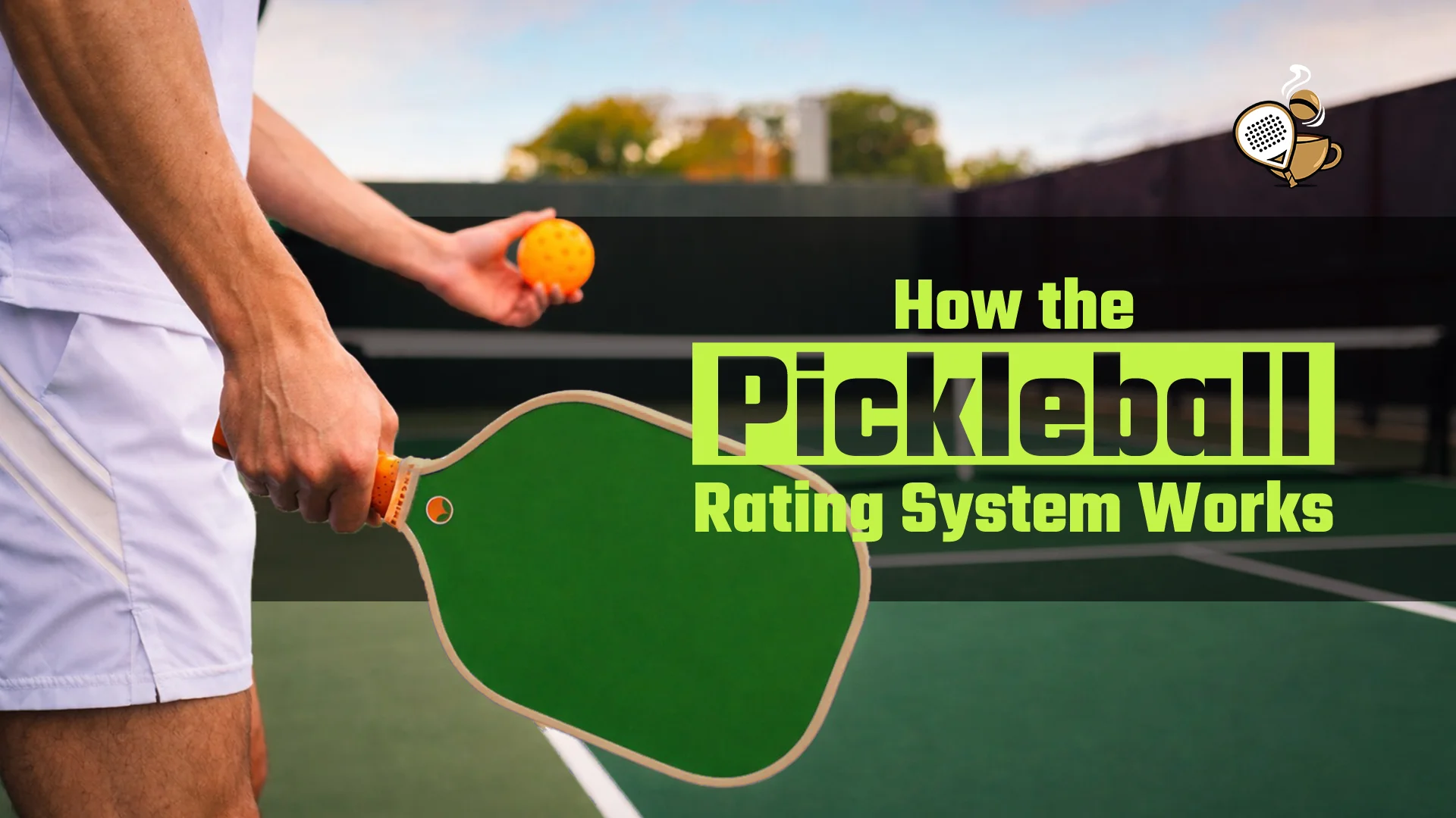 Pickleball Rating System